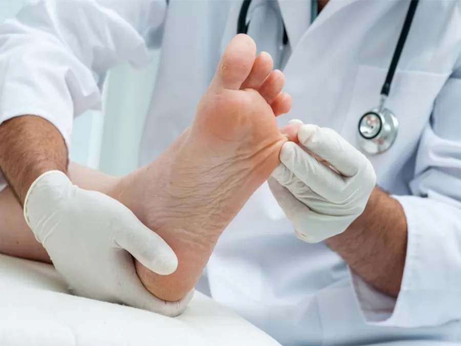 مدار الساعة,أخبار الأسرة