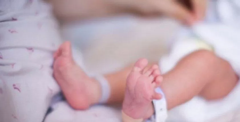 مدار الساعة,أخبار الأسرة,رئيس الوزراء