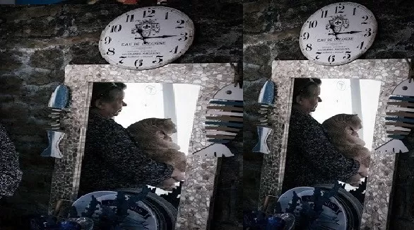 مدار الساعة,أخبار الأسرة