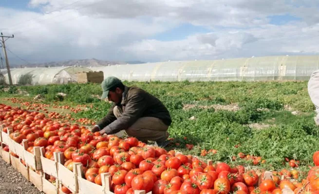 مدار الساعة,أخبار الأردن,اخبار الاردن,درجات الحرارة