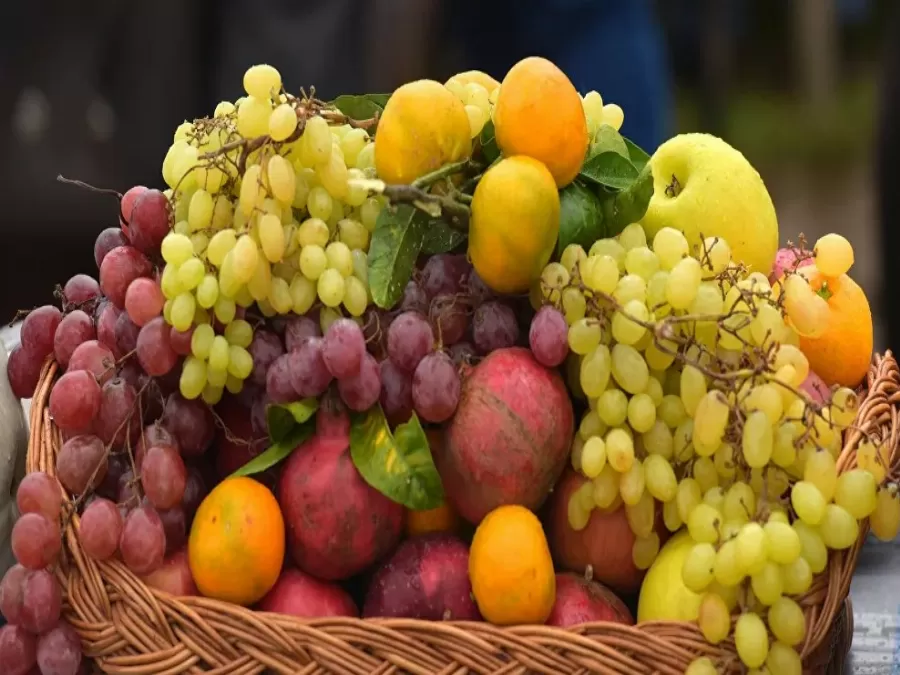 مدار الساعة,أخبار الأسرة