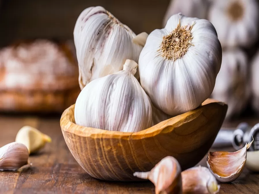 مدار الساعة,أخبار الأسرة