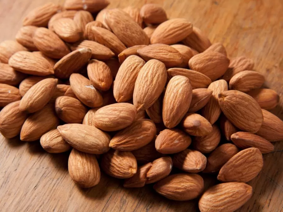 مدار الساعة,أخبار الأسرة