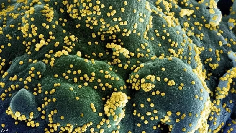 مدار الساعة,أخبار عربية ودولية,كورونا,منظمة الصحة العالمية