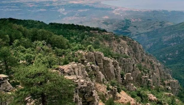 مدار الساعة,أخبار الأسرة