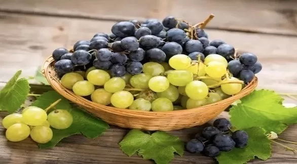 مدار الساعة,أخبار الأسرة