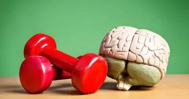 مدار الساعة,أخبار الأسرة