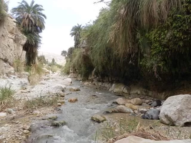 مدار الساعة,أخبار السياحة في الأردن,البحر الميت