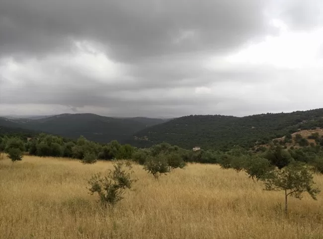 مدار الساعة,الطقس في الأردن اليوم,طقس الأردن,طقس العرب,طقس العرب الاردن,درجات الحرارة