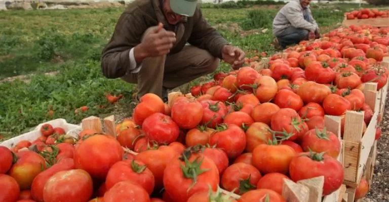 مدار الساعة,أخبار اقتصادية,وزير الزراعة,خالد حنيفات,الإقراض الزراعي