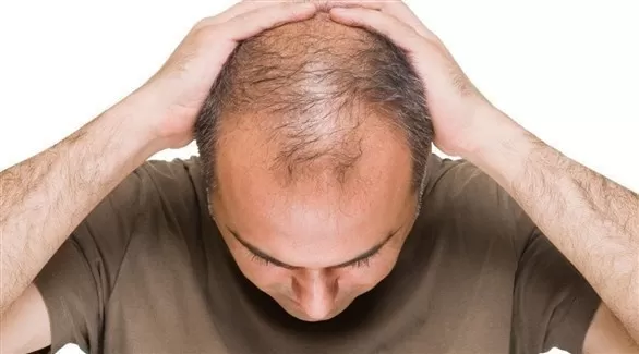 مدار الساعة,أخبار الأسرة
