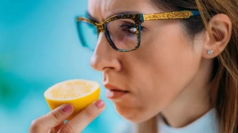 مدار الساعة,أخبار الأسرة,كورونا