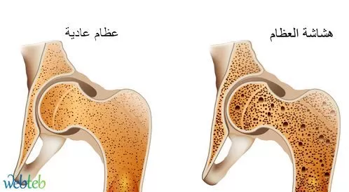 مدار الساعة,أخبار الأسرة
