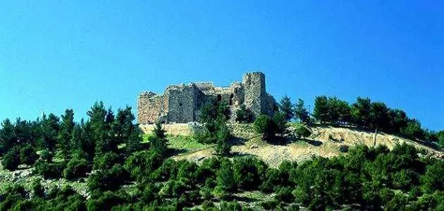 مدار الساعة,أخبار الأردن,اخبار الاردن,وزير السياحة والآثار,كورونا,الملك عبدالله الثاني,دائرة الآثار العامة