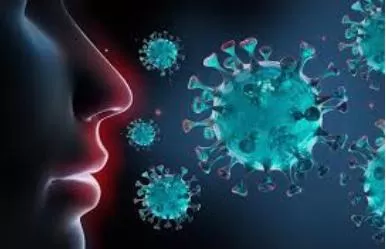 مدار الساعة,مقالات,كورونا,وكالة الأنباء الأردنية,جامعة اليرموك,الأمم المتحدة