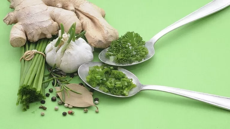 مدار الساعة,أخبار الأسرة