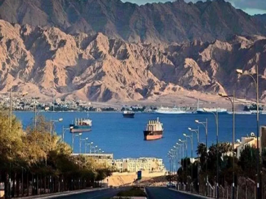 مدار الساعة,أخبار اقتصادية,كورونا,وزارة الصحة,سلطة منطقة العقبة الاقتصادية الخاصة