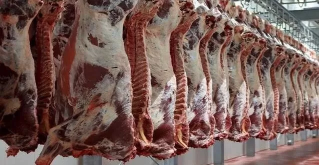 مدار الساعة,أخبار الأردن,اخبار الاردن,وزارة الزراعة