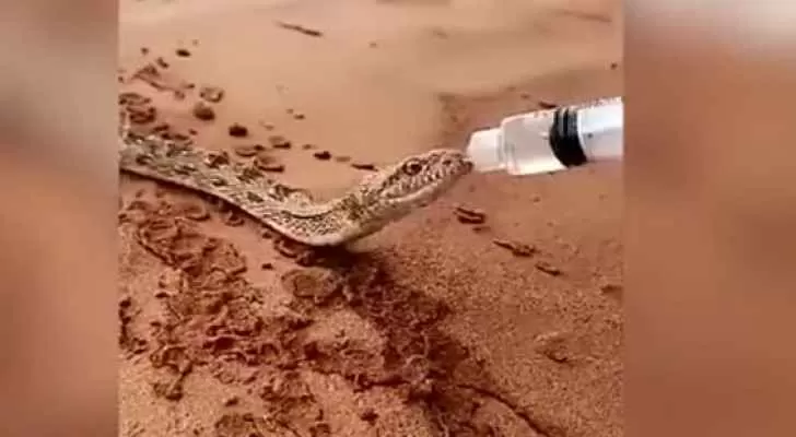 مدار الساعة,Video,فيديو,أخبار خفيفة ومنوعة,المملكة العربية السعودية