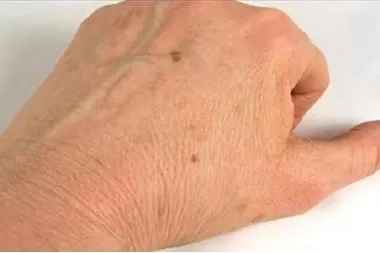 مدار الساعة,أخبار الأسرة