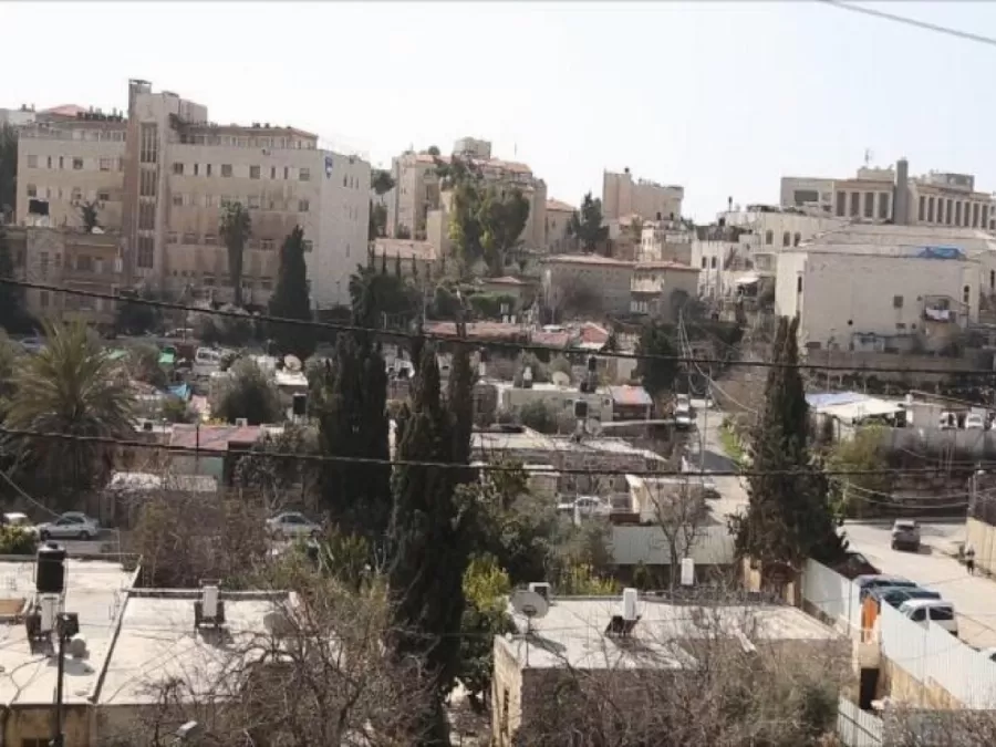 مدار الساعة,أخبار الأردن,اخبار الاردن,نائب رئيس الوزراء,رئيس الوزراء,أيمن الصفدي,وزارة الخارجية وشؤون المغتربين,وزارة الخارجية,أونروا