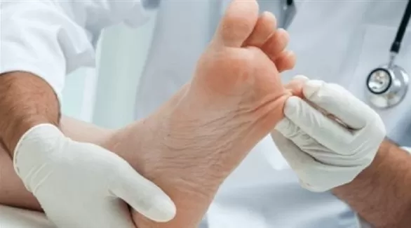 مدار الساعة,أخبار الأسرة