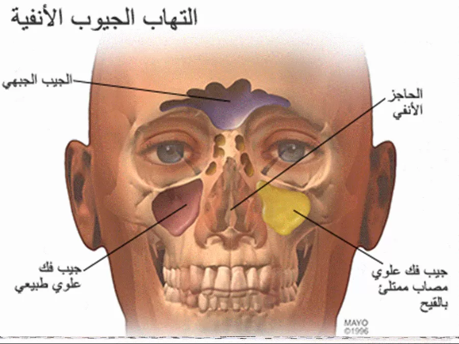 مدار الساعة,أخبار الأسرة
