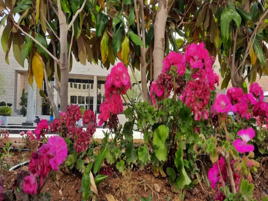 مدار الساعة,الطقس في الأردن اليوم,طقس الأردن,طقس العرب,طقس العرب الاردن,درجات الحرارة العظمى والصغرى,درجات الحرارة,الأرصاد الجوية,البحر الميت