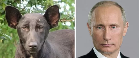 مدار الساعة,أخبار خفيفة ومنوعة