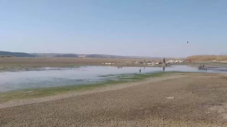 مدار الساعة,أخبار عربية ودولية