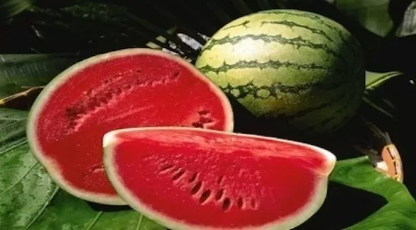 مدار الساعة,أخبار الأسرة