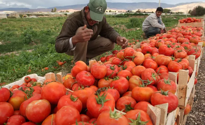 مدار الساعة,أخبار اقتصادية