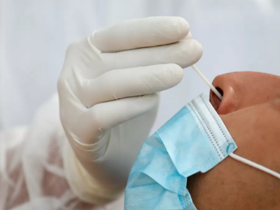 مدار الساعة,أخبار اقتصادية,كورونا,وزارة العمل,غرفة تجارة عمان