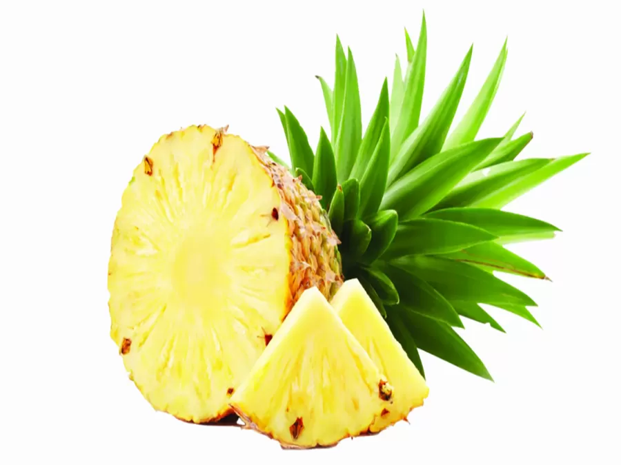 مدار الساعة,أخبار الأسرة