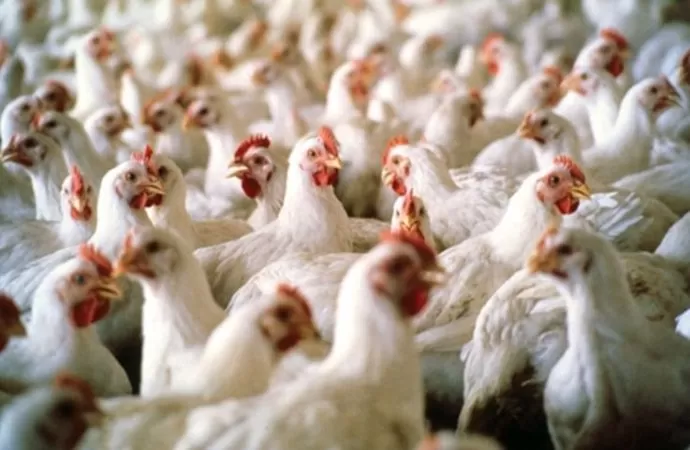 مدار الساعة,أخبار اقتصادية,وزارة الصناعة والتجارة,وزارة الصناعة