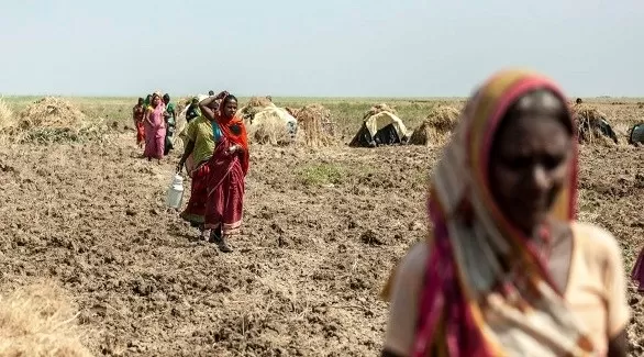 مدار الساعة,أخبار اقتصادية,كورونا,وزارة المالية,أسعار النفط