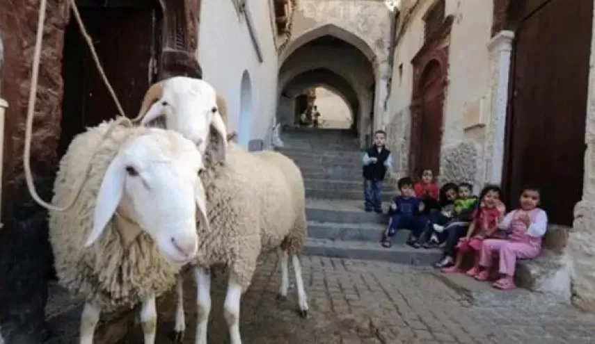 مدار الساعة,أخبار عربية ودولية,عيد الأضحى