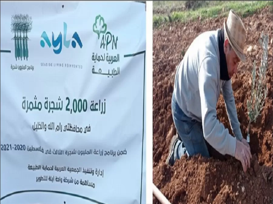 مدار الساعة,مناسبات أردنية