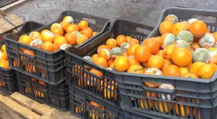 مدار الساعة,أخبار الأردن,اخبار الاردن,أمانة عمان