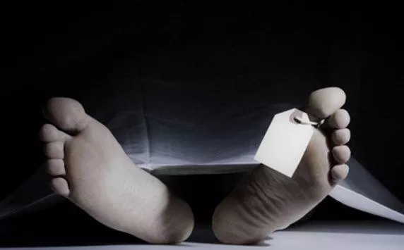 مدار الساعة,أخبار عربية ودولية,وزارة الخارجية