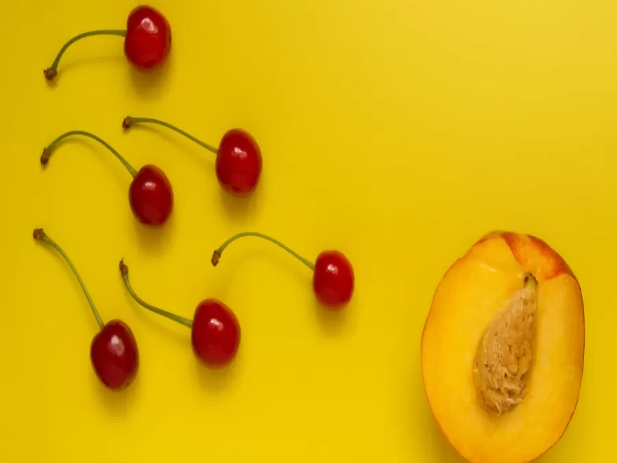 مدار الساعة,أخبار الأسرة