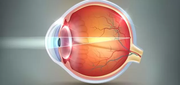 مدار الساعة,أخبار الأردن,اخبار الاردن,كورونا