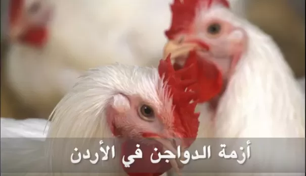 مدار الساعة,Video,فيديو,أخبار الأردن,اخبار الاردن,وزارة الصناعة والتجارة,وزارة الصناعة