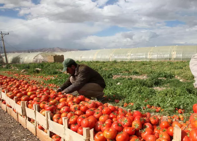 مدار الساعة,أخبار اقتصادية,وزير الزراعة,وزارة الزراعة,غرفة تجارة عمان