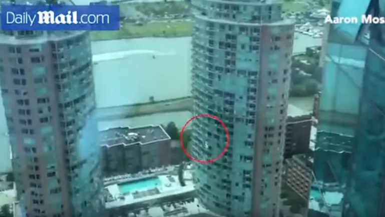 مدار الساعة,Video,فيديو,أخبار خفيفة ومنوعة