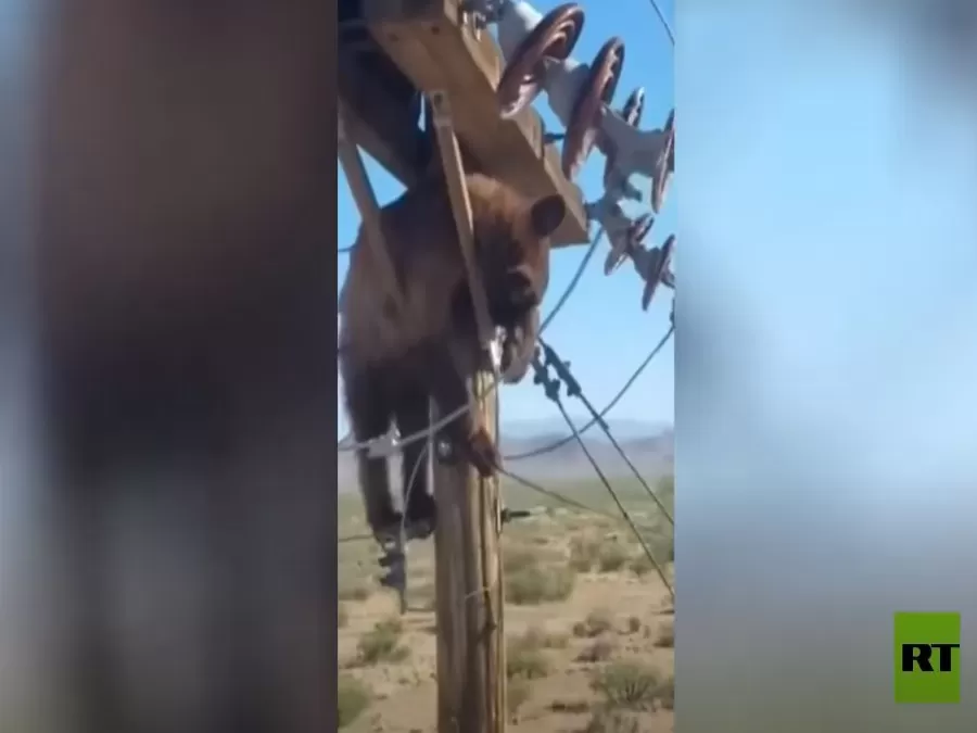 مدار الساعة,Video,فيديو,أخبار عربية ودولية