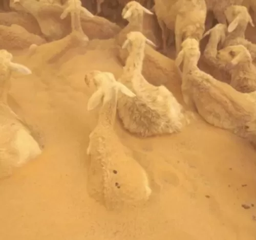 مدار الساعة,أخبار عربية ودولية