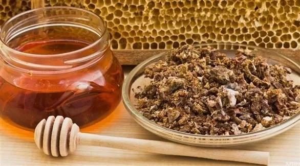 مدار الساعة,أخبار الأسرة
