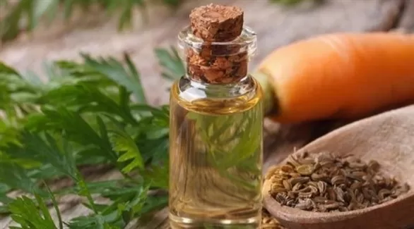 مدار الساعة,أخبار الأسرة