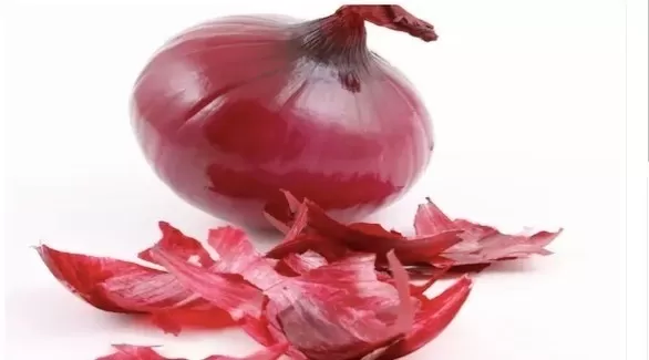 مدار الساعة,أخبار الأسرة